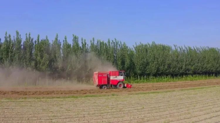 花生收獲機市場穩步發展,用戶關注度品牌一家獨大! 0202.jpg